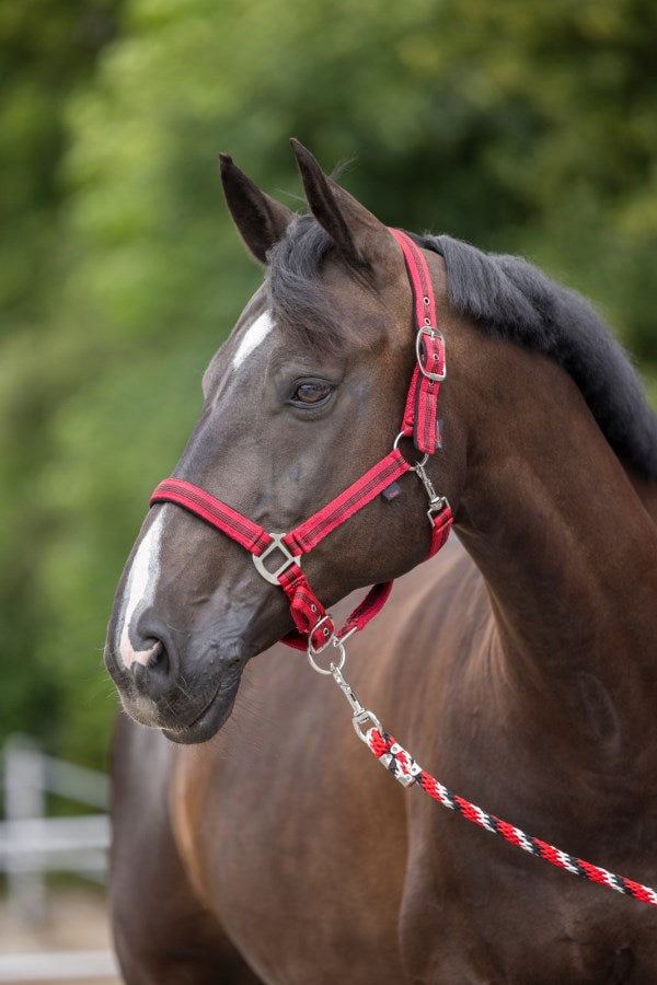 Nylonhalfter Mustang rot-schwarz