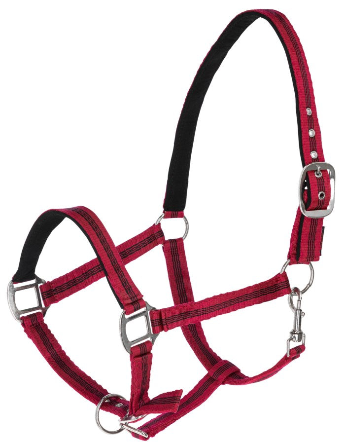 Nylonhalfter Mustang rot-schwarz,