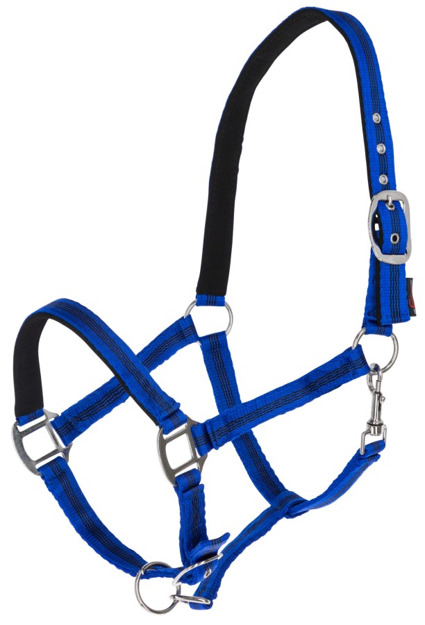 Nylonhalfter Mustang blau-schwarz,